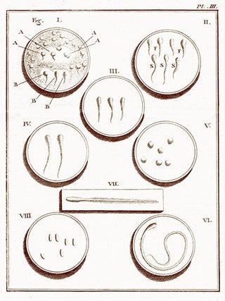 Opuscules de physique animale et végétale, traduits de l'Italien et augmentés d'une introduction dans laquelle on fait connoître les découvertes microscopiques dans es trois règnes de la nature... par Jean Senebier, bibliothécaire de la République de Genève. On y a joint plusieurs lettres relatives à ces Opuscules écrites à M. L'Abbé Spallanzani par M. Charles Bonnet et par d'autres naturalistes célèbres.