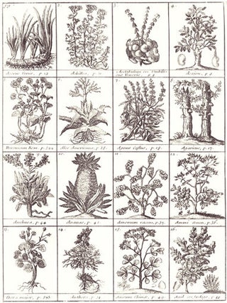 Traité universel des drogues simples, mises en ordre alphabétique, où l'on trouve leurs différens noms, leur origine, leur choix, les principes qu'elles renferment, leurs qualitez, leur étimologie; & tout ce qu'il y a de particulier dans les animaux, dans les végétaux & dans les minéraux. ... 2e édit. corrigée, & beaucoup augmentée....