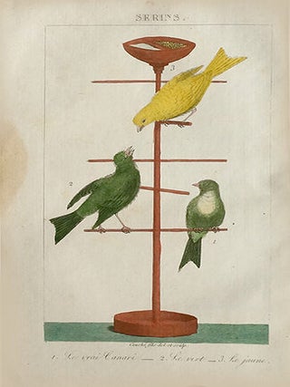 L'Art de multiplier les serins, de les élever, de les instruire et de les guérir des maladies auxquelles ils sont sujets