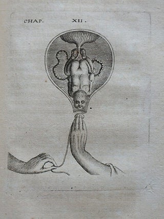 Observations sur la pratique des accouchemens, naturels, contre nature, & monstrueux, Avec une Méthode très facile pour secourir les femmes en toute sorte d'accouchements, sans se servir de crochets, ni d'aucun instrument, que de la main seule...