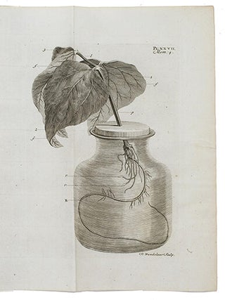 Recherches sur l'usage des feuilles dans les plantes, et sur quelques autres sujets relatifs à l'histoire de la végétation.
