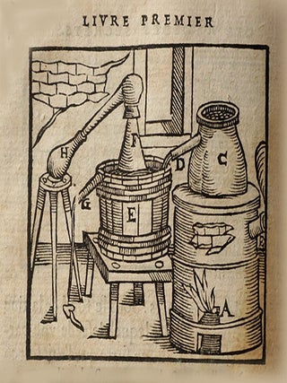 Quatre livres des secrets de médecine et de la philosophie chimique, Faicts françois par M. Iean Liebaut Dijonnois, docteur médecin à Paris. Esquels sont descrits plusieurs remèdes singuliers pour toutes maladies... traictées bien amplement les manières de distiller eaux, huiles, & quinte essences de toutes sortes de matières, préparer l'Antimoine & la poudre de Mercure, faire les extractions, les sels artificiels, & l'or potable.