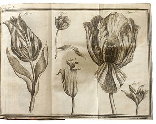 Traité des tulipes, Avec la manière de les bien cultiver, leurs noms, leurs couleurs, & leur beauté
