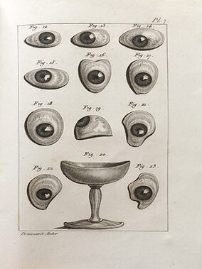 Traité pratique de l'oeil artificiel, ou expériences et observations sur l'art de cacher la difformité produite par l'atrophie totale ou partielle de l'organe de la vue à la suite de toutes maladies, opérations et accidens quelconques; contenant la méthode de l'auteur pour procéder sans douleurs à l'application de l'oeil artificiel, lui procurer sous les paupières les mouvemens de l'oeil sain...