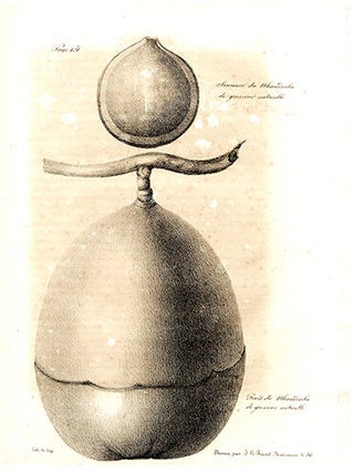 Recherches et expériences sur les poisons d'Amérique, tirés des trois règnes de la nature, et envisagés sous les rapports de l'histoire naturelle, de la physiologie, de la pathologie et de la chimie, avec un essai sur l'empoisonnement par les miasmes des marais, le mal d'estomac des nègres (cachexia africana), et les maladies qui ressemblent aux empoisonnemens, pour servir à la toxicologie générale du continent d'Amérique et des Antilles.