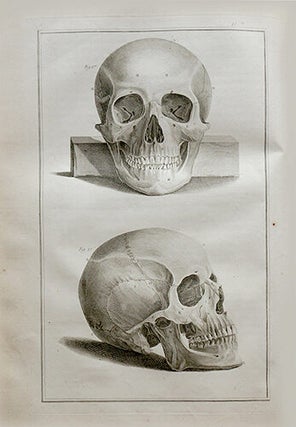 Traité d'Ostéologie, Où l'on a ajouté des planches en taille-douce, qui représentent au naturel tous les os de l'adulte & du foetus, avec leurs explications. Traduit de l'anglois ... par M. Sue.