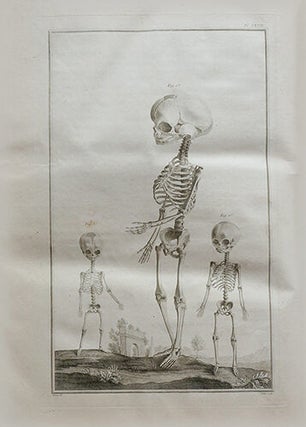 Traité d'Ostéologie, Où l'on a ajouté des planches en taille-douce, qui représentent au naturel tous les os de l'adulte & du foetus, avec leurs explications. Traduit de l'anglois ... par M. Sue.