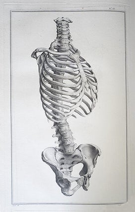 Traité d'Ostéologie, Où l'on a ajouté des planches en taille-douce, qui représentent au naturel tous les os de l'adulte & du foetus, avec leurs explications. Traduit de l'anglois ... par M. Sue.