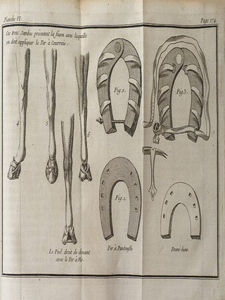 L'Art du Manège pris dans ses vrais principes, suivi d'une Nouvelle méthode pour l'embouchure des chevaux, et d'une connoissance abrégée des principales maladies auxquelles ils sont sujets, ainsi que du traitement qui leur est propre.