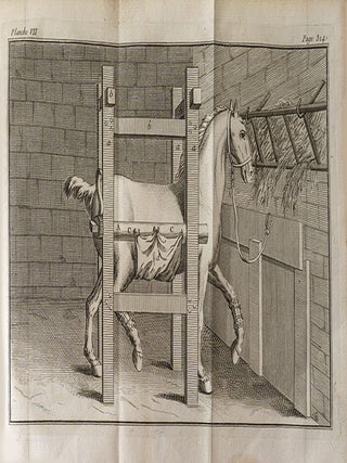L'Art du Manège pris dans ses vrais principes, suivi d'une Nouvelle méthode pour l'embouchure des chevaux, et d'une connoissance abrégée des principales maladies auxquelles ils sont sujets, ainsi que du traitement qui leur est propre.