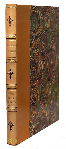 Item #21523 Mémoire sur les Bélemnites, considérées zoologiquement et géologiquement. DUCROTAY de BLAINVILLE, Henri M.