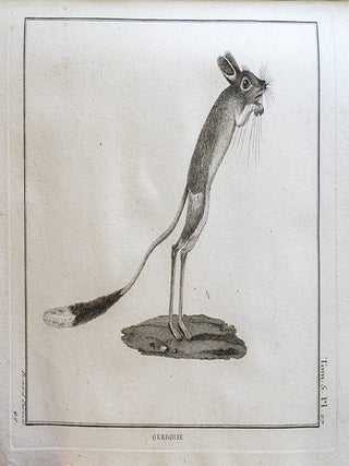 Voyage aux sources du Nil, en Nubie et en Abyssinie, pendant les années 1768, 1769, 1770, 1771 & 1772., Traduit de l'Anglais par J. H. Castera. - Suivi de : Quatre voyages dans le pays des Hottentots et la Cafrerie, en 1777, 1778 & 1779, Par le Lieutenant William Paterson.