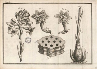 Traité sur la connaissance et la culture des jacintes, par l'auteur du Traité des Renoncules.